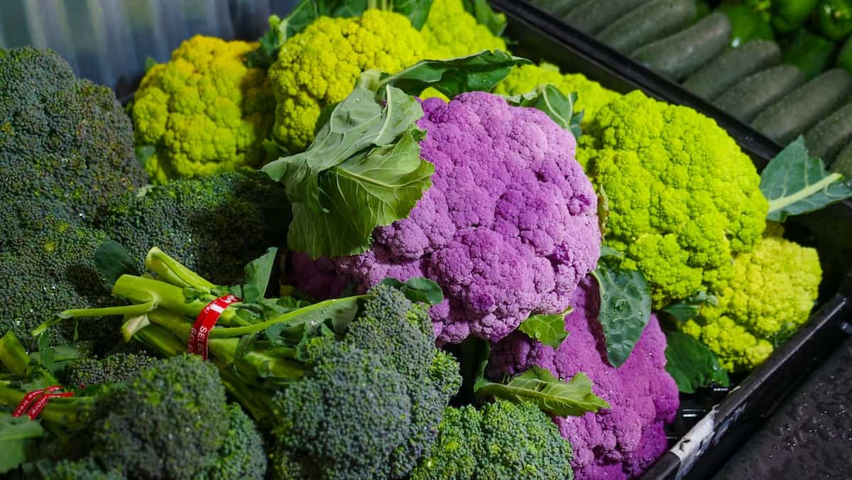 A quelle date planter les choux-fleurs ?
