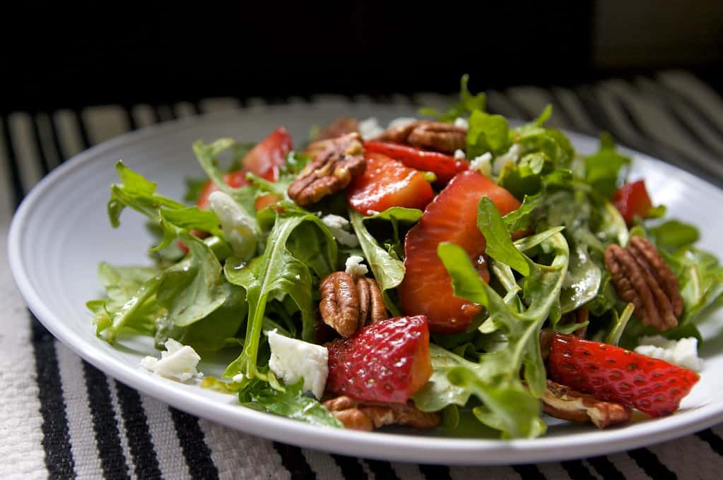 A quelle date semer la roquette ?