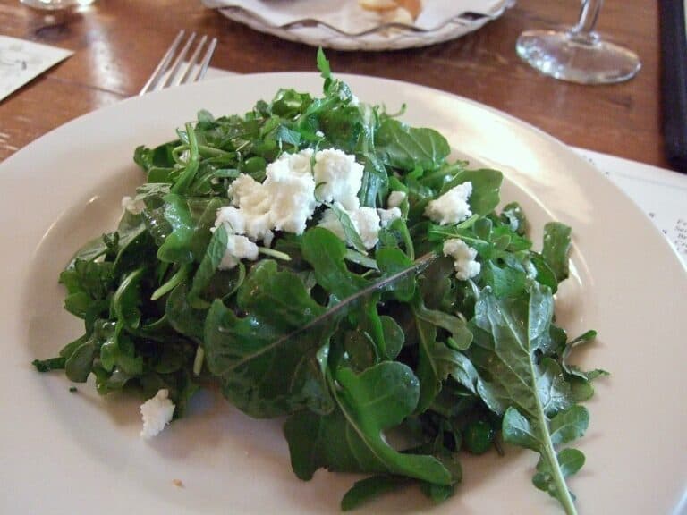 A quelle date semer la roquette ?