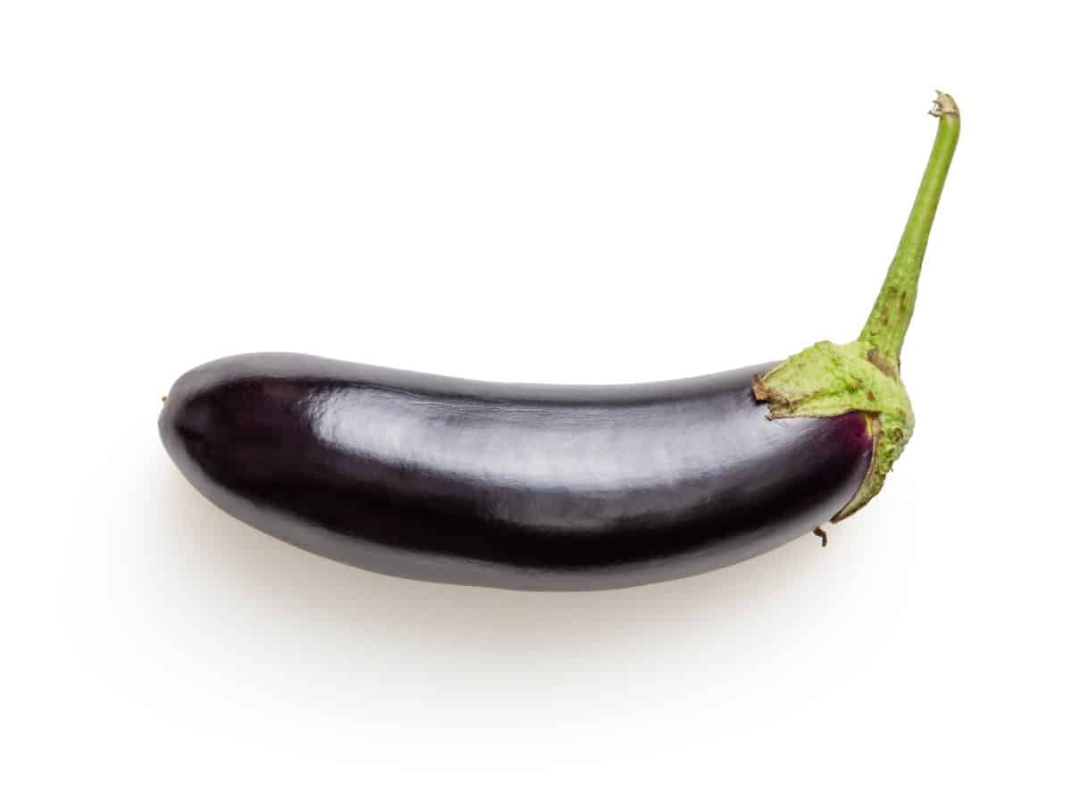 À quelle date semer les aubergines ?