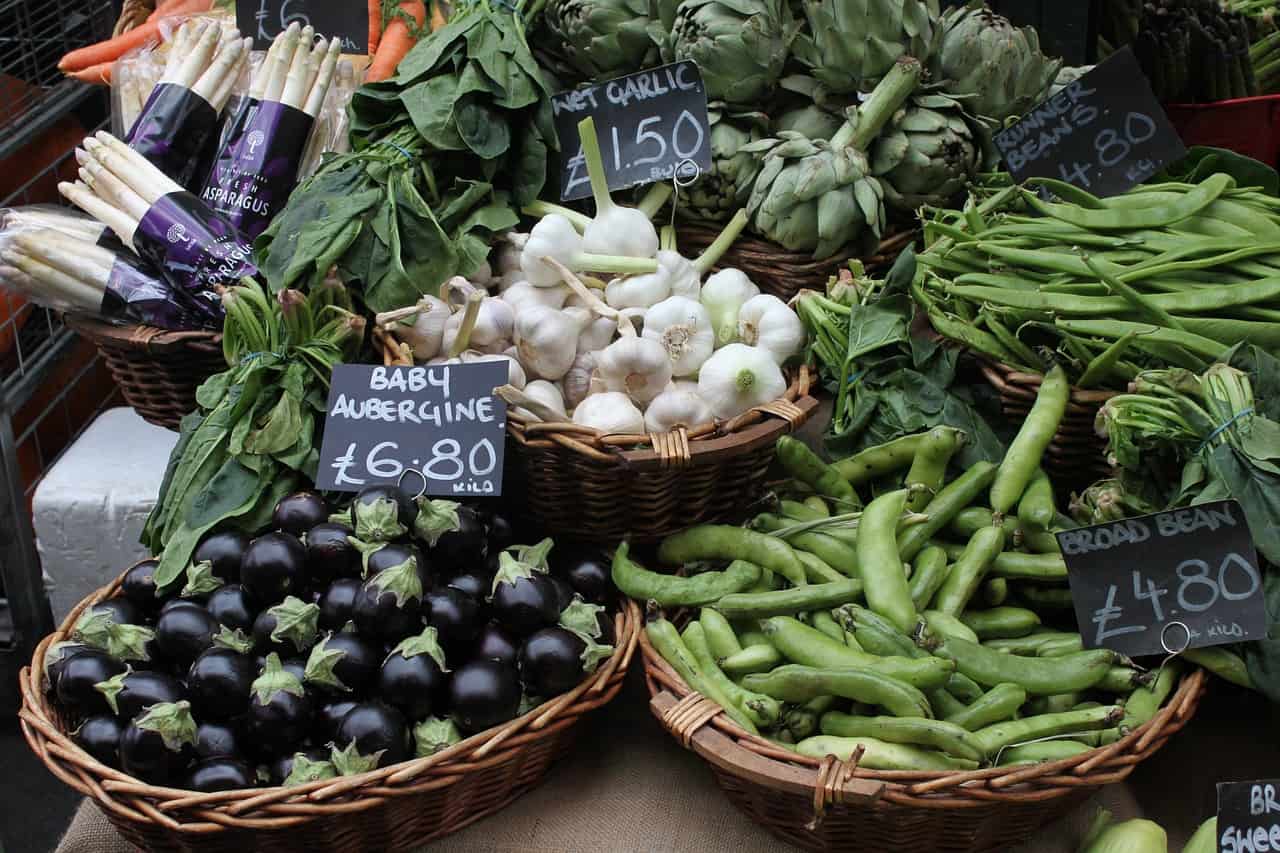 À quelle date planter les aubergines ?