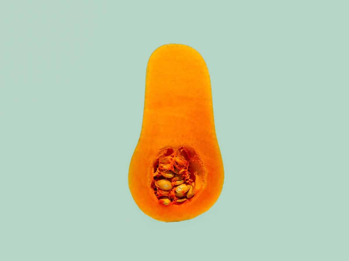 À quelle date semer les courges ?