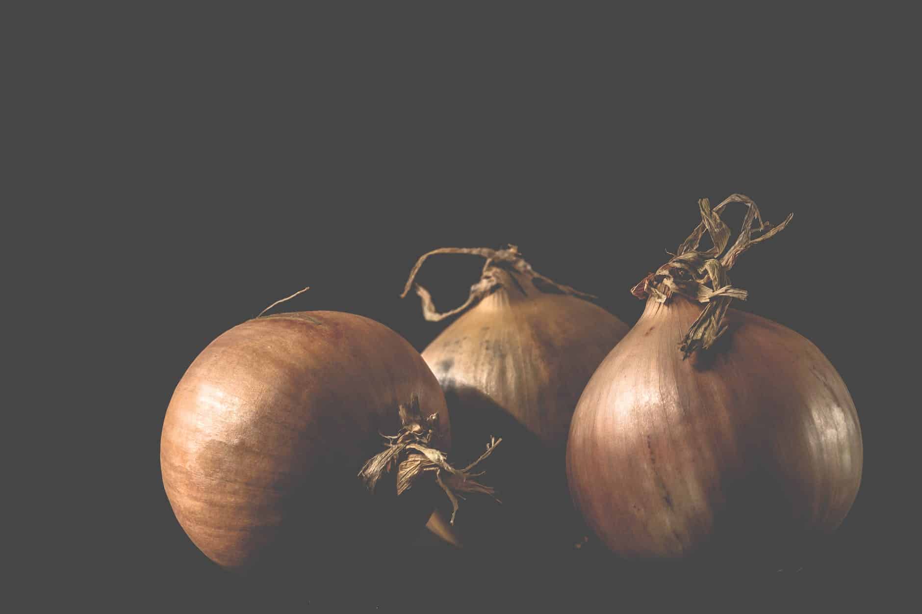 À quelle date planter les oignons jaunes ?