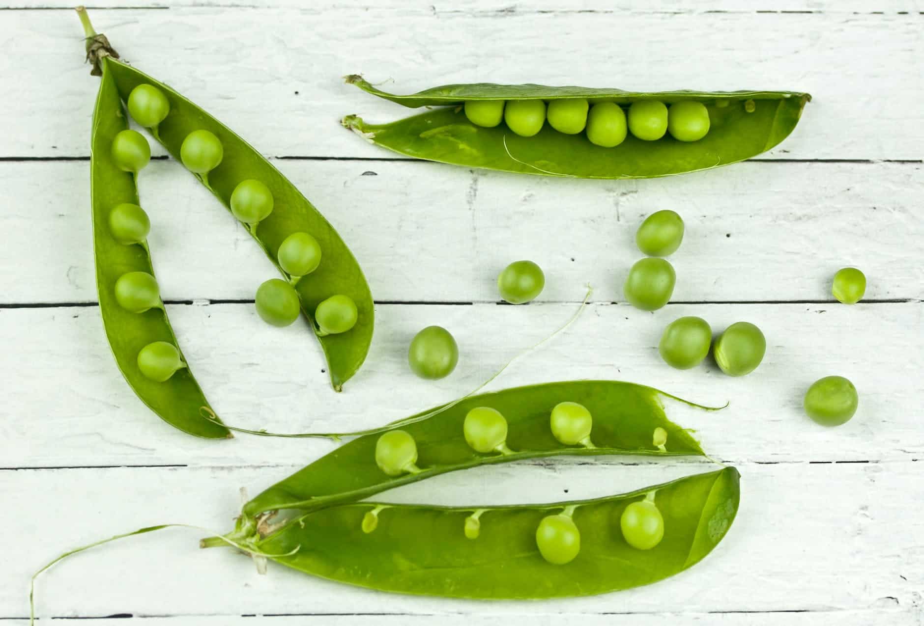 À quelle date semer les petits pois ?