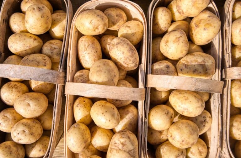À quelle date planter les pommes de terre ?